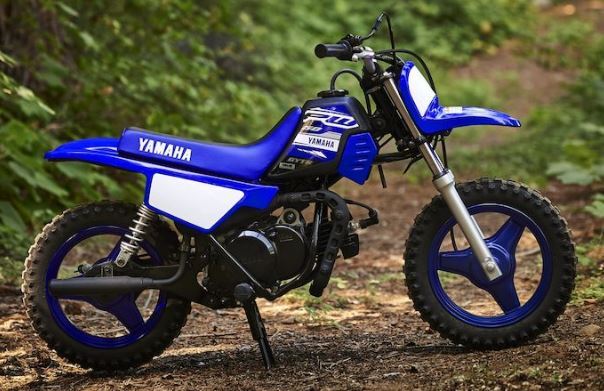 Yamaha PW50